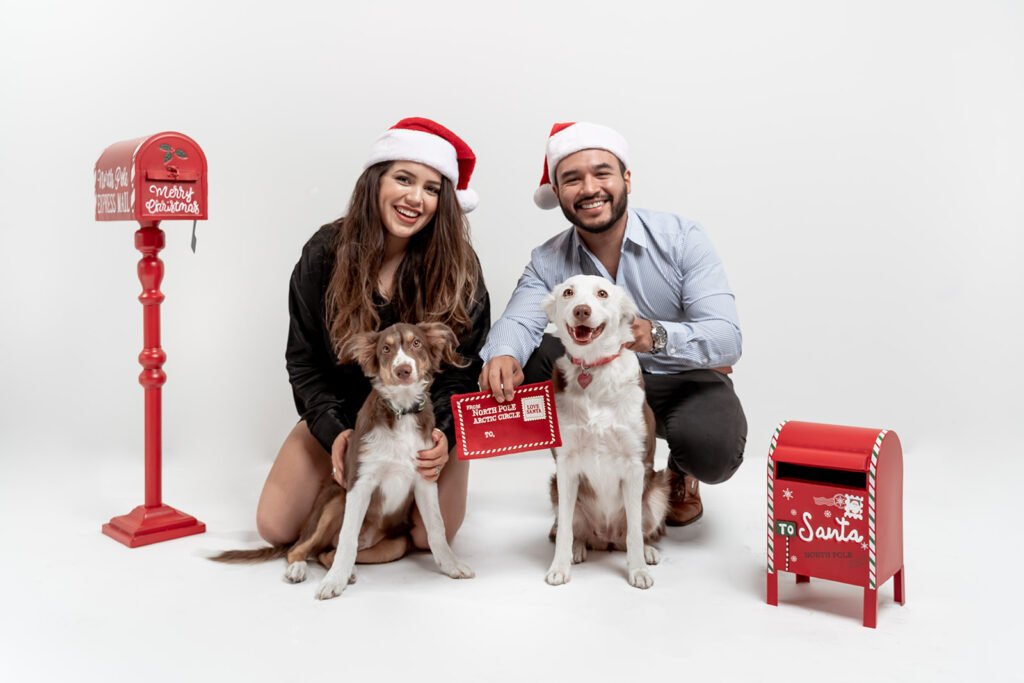 Forest-xmas20-3_websize