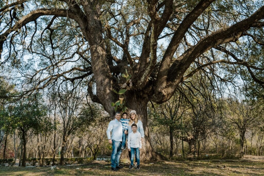 parque-sierra-alta-carretera-forest