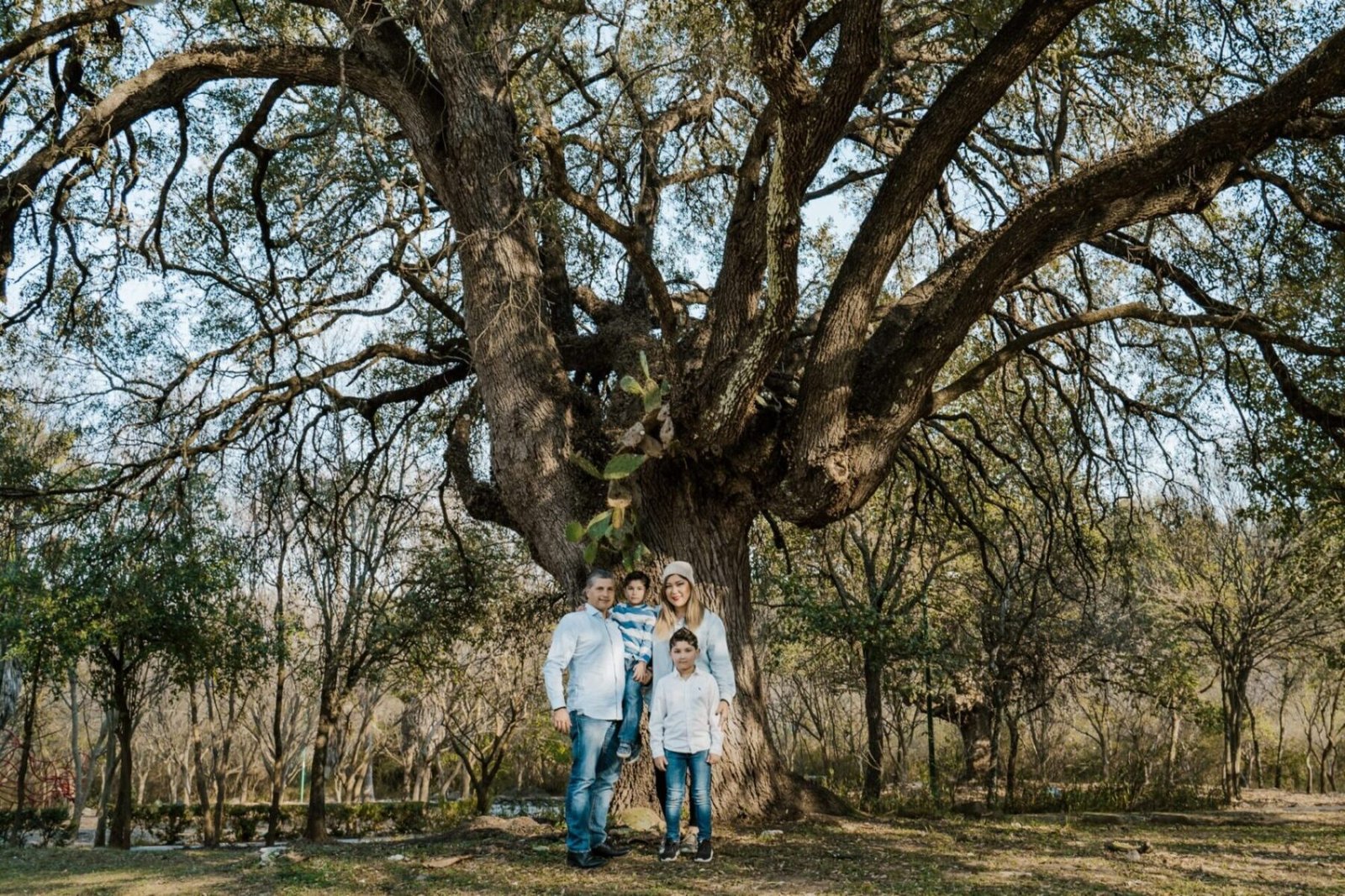 parque-sierra-alta-carretera-forest